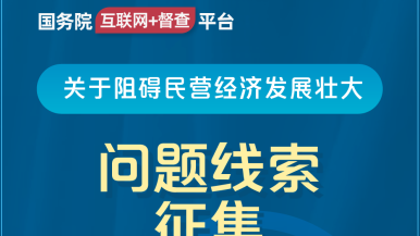 嗯好顶啊好爽好粗亚洲视频国务院“互联网+督查”平台公开征集阻碍民营经济发展壮大问题线索